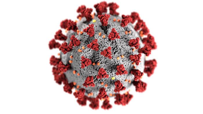 Ilustración del coronavirus, creada por el Centers for Disease Control and Prevention (CDC)